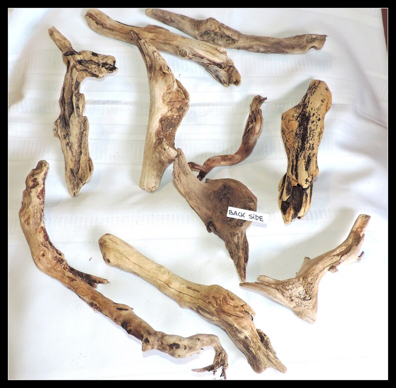 10 pieces Mix of Natural Driftwood of Atlantic Ocean / for home decor, crafting or any project / ZZ64 image 6