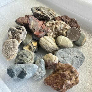 May include: A collection of various-sized rocks and stones in shades of gray, brown, and red. Some stones are smooth, while others have a rough, textured surface. A US quarter coin is included for size reference. The stones are arranged in a white container.