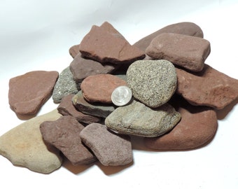 Può includere: Una collezione di rocce e pietre di varie dimensioni in tonalità di rosso, marrone e grigio. Alcune pietre sono lisce, altre hanno superfici ruvide. Una moneta è inclusa come riferimento delle dimensioni. Sfondo bianco.
