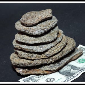 May include: A stack of flat, layered rocks in shades of gray and brown, resembling a miniature mountain. A one-dollar bill is partially visible beneath the rocks, providing a size reference. The rocks have a rough, textured surface.