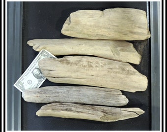 11-14 inches long 5 pieces of Natural Driftwood Pieces of Atlantic Ocean / good for crafting, decor, bases or any project / ZZ22