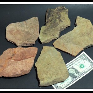 May include: Five irregular, flat, natural stone fragments in shades of tan, brown, and grey. The stones have rough, textured surfaces and jagged edges. A one-dollar bill is placed next to the stones to provide a visual scale for their size.