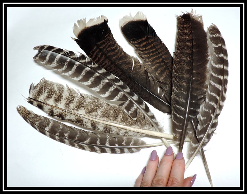 Lot De 48 Plumes Naturelles Multicolores - Pour Déco DIY, Costumes, Chapeaux, Mariage, Carnaval, Attrape-rêves - 12