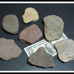 May include: A collection of seven natural stones in various shades of gray, brown, and tan, arranged around a one-dollar bill for scale. The stones feature diverse textures and irregular shapes, ranging from smooth and rounded to rough and angular.