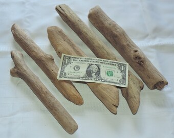 5 Good quality Natural Driftwood Pieces of Atlantic Ocean / 5  pieces for crafting, home décor or any project / U92