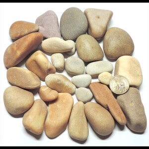 May include: A collection of smooth, rounded stones in various shades of brown, beige, and gray. The stones are arranged in a circle, with a US quarter coin in the center for scale.
