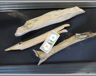 Large Natural Driftwood Pieces of Atlantic Ocean 3 pieces / good for crafting, crafts, home decor, bases or any project / ZZ20