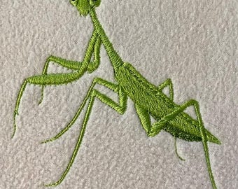 カマキリ図案　珍しい柄　共箱付き カマキリ - INSECT MARKET（インセクトマーケット） - 昆虫と
