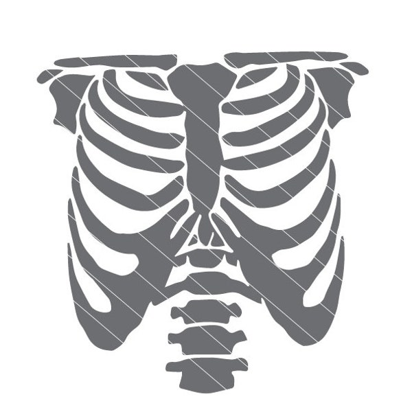 Rib Cage digital cut file: svg, dxf