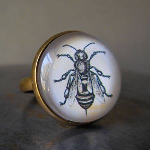 Könnte beinhalten: Ein Messingring mit einem Glascabochon, der eine schwarz-weiße Illustration einer Biene zeigt.