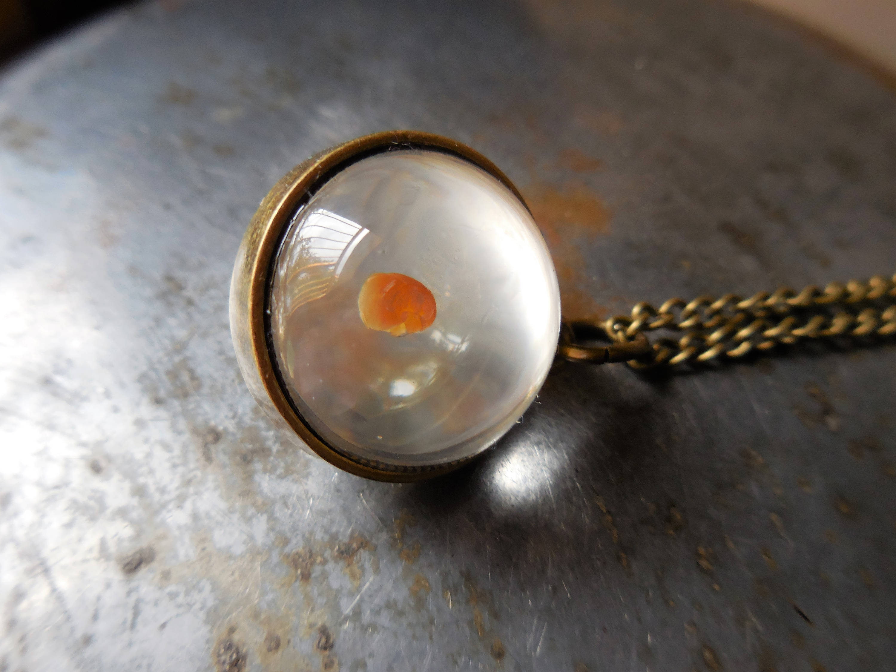 Mustard Seed Necklace Real Mustard Seed Pendant Dried Flower