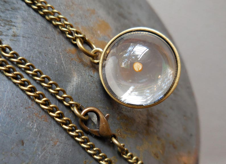 Mustard Seed Necklace Real Mustard Seed Pendant Dried Flower Etsy