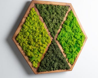 Hexagon Moss Wall Art, Farmhouse Decor, New Apartment Gifts, Rustic Panel, Bedroom Accent