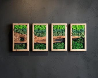 Preserved Moss and Olive Wood Wall Art, Wooden Rustic Panel, Farmhouse Decor, New Apartment Gifts