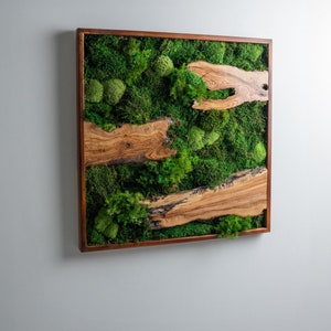 Moss and Olive Wood Wall Art, Square Wooden Frame Moss Wall Decor, Home Decor, Preserved Stabilized Moss, Living Room Decor, Wall Hangings