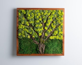 Preserved Moss Wall Art: Tree Bark Wood Decor