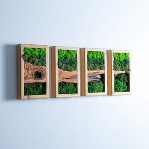 Preserved Moss and Olive Wood Wall Art, Wooden Frame Decor