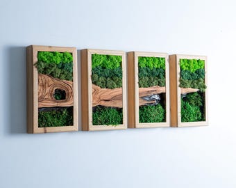 Preserved Stabilized Moss and Olive Wood Wall Art, Wooden Frame Moss Wall Decor, Living Room Decor, Unique wall decor, Mothers Day Gifts