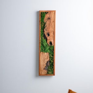 Custom Moss and Olive Wood Wall Art, Rectangle Wooden Moss Wall Decor, Live Moss Wall Art, Unique Home Decor, Office Decor, Gift for Boss