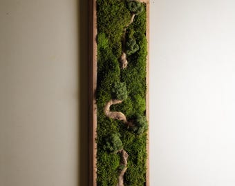 Preserved Moss Bonsai Wall Art, Handcrafted Vertical Nature Decor, Rustic Farmhouse Accent