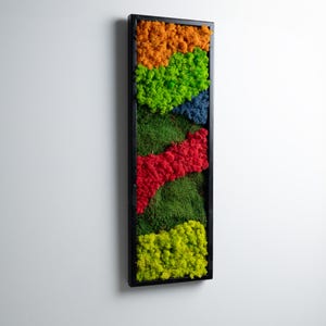 Colorful Preserved Moss Wall Art: Modern Farmhouse Decor