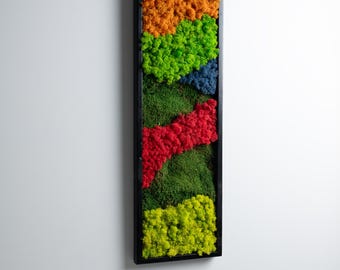Könnte beinhalten: Ein gerahmtes Wandbild mit verschiedenen konservierten Moosen in unterschiedlichen Farben, darunter Grün, Rot, Orange und Blau. Das Moos ist in einem geometrischen Muster in einem schwarzen Rahmen angeordnet.