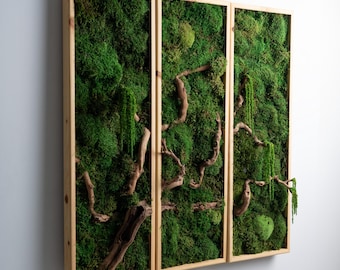 Preserved Moss and Bonsai Wood Wall Art, Handmade Rustic Decor, New Home Gifts, Wooden Accent