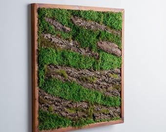 Handcrafted Preserved Moss Wall Art, Real Tree Bark, Wooden Frame Decor, Rustic Panel, Farmhouse Decoration