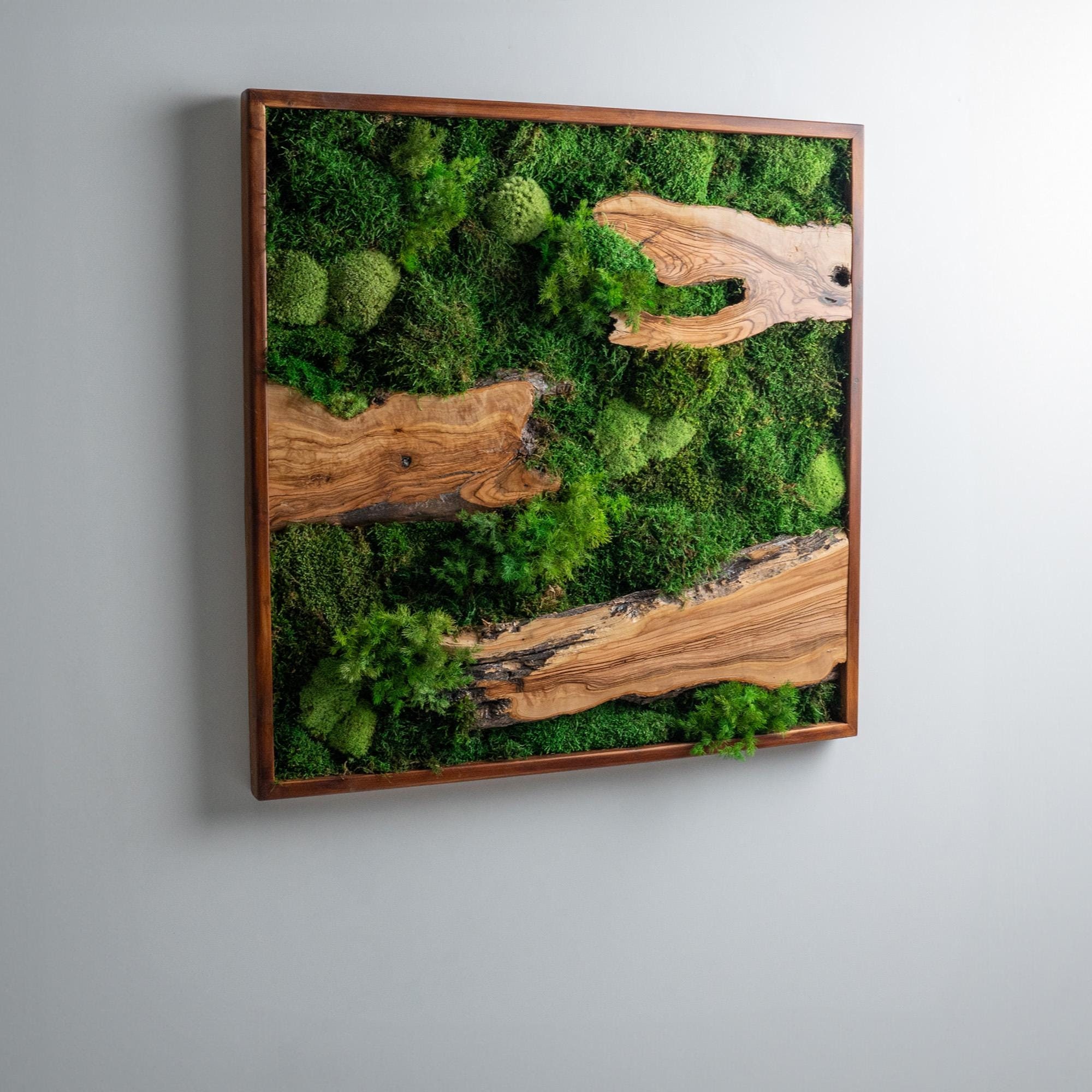 Moss and Olive Wood Wall Art, Square Wooden Frame Moss Wall Decor, Home Decor, Preserved Stabilized Moss, Living Room Decor, Wall Hangings