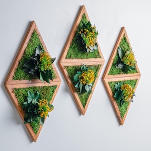 Triangle Moss Wall Art: Preserved Moss & Wood Farmhouse Decor