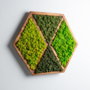 Hexagon Moss Wall Art, Wooden Frame Moss Wall Decor, Modern Home Decor, Preserved Stabilized Moss, Kitchen Decor, Wall Hanging