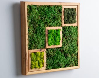 Preserved Moss Wall Art, Farmhouse Decor, Rustic Accent, New Apartment Gifts, Bio-friendly Panel