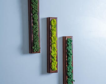 Preserved Moss Wall Art, Rustic Decoration, Wooden Accent, New Apartment Gifts, Bedroom Decor