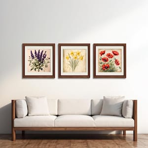 Könnte beinhalten: Drei gerahmte Blumenprints mit weißem Hintergrund. Die Drucke zeigen einen Strauß lila Blumen, einen Strauß gelber Narzissen und eine Gruppe roter Mohnblumen.