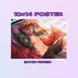 Beach Hawks poster