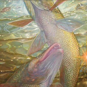 Op de afbeelding: Een schilderij van twee vissen die in een waterlichaam zwemmen. De vissen zijn lichtbruin van kleur met donkere vlekken. Het water is lichtblauw van kleur met een gele tint. De vissen zwemmen in een cirkelvormige beweging.