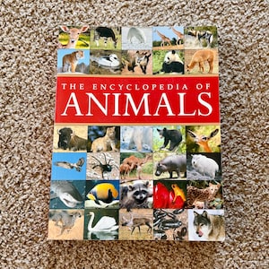 以下が含まれることがあります： 「The Encyclopedia of Animals」というタイトルのハードカバー本。中央に赤い帯と白い文字が配置されています。表紙には、哺乳類、鳥類、魚類、昆虫など、さまざまな野生動物の個別のカラー写真が35枚、グリッド状に並べられています。