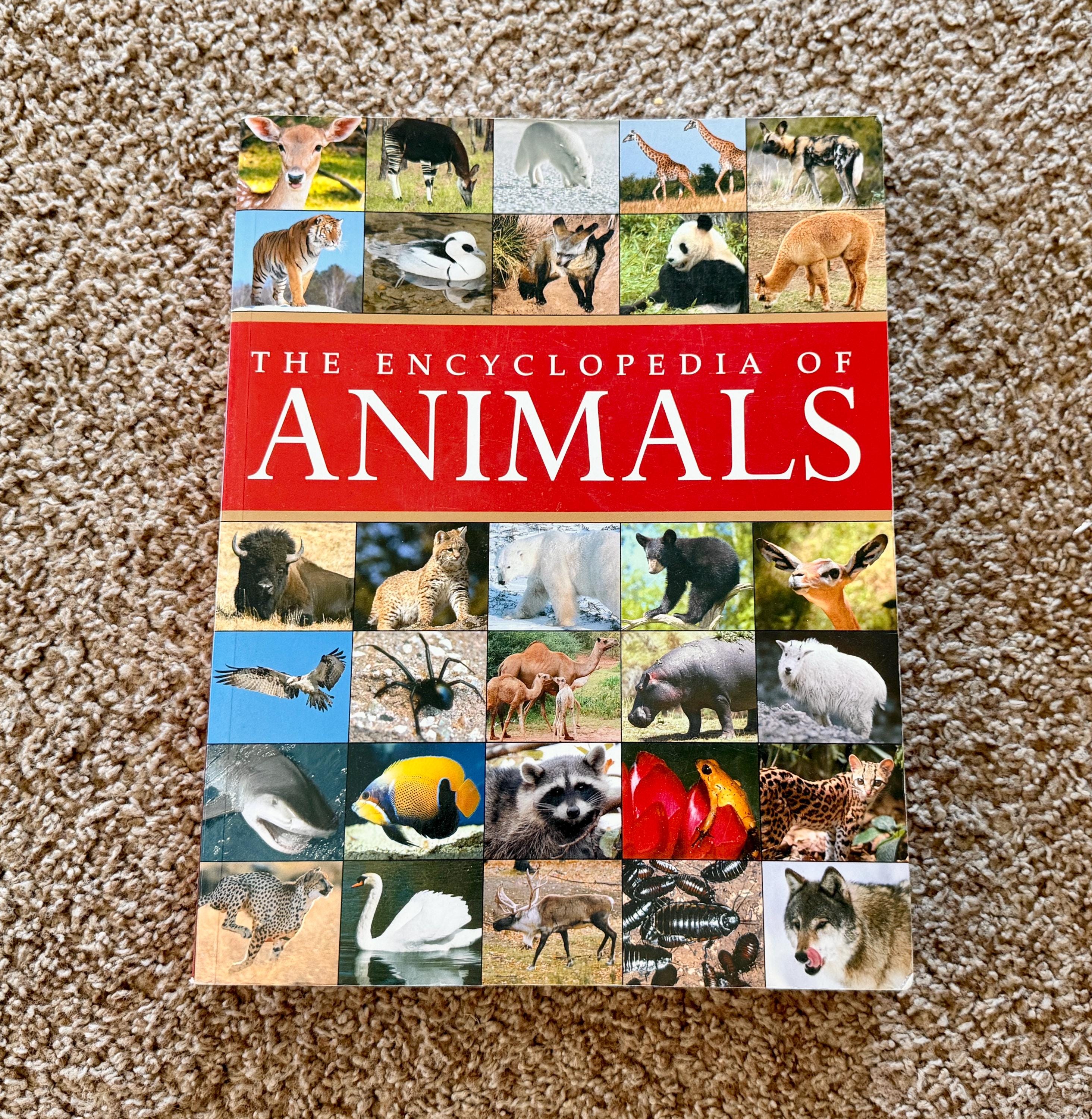 Animal Encyclopedia Book - Etsy