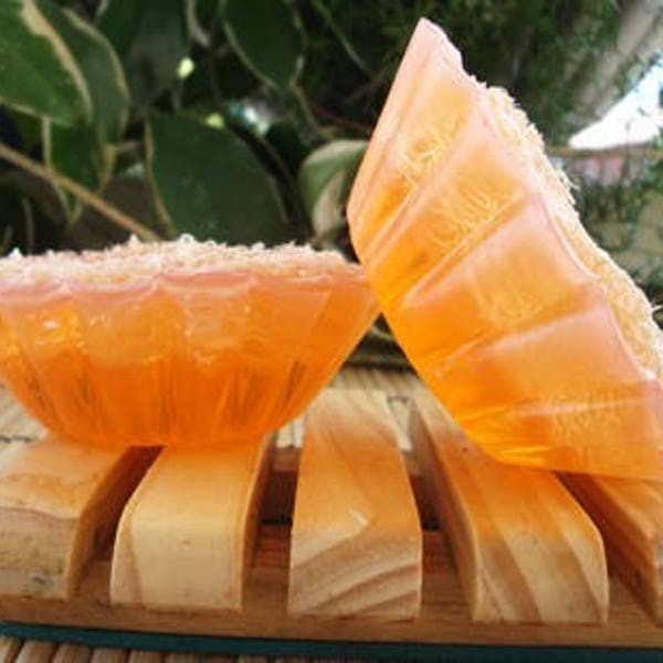 Loofah Soy Soap Bar