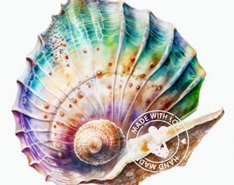 Watercolor Seashell Clipart Collection - 12 High Quality PNG Images for Digital Downloads