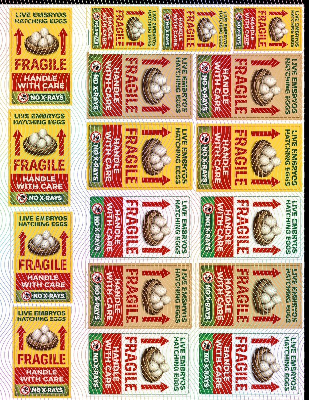 Flying Horse Fragile Egg Shipping Box Label - Etsy