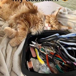 May include: A ginger cat with green eyes is sleeping on a blanket next to a black plastic container filled with various jewelry making tools, including pliers, wire cutters, and a spool of copper wire. The cat is positioned as if it is helping with the jewelry making process. The text "My assistant" is written above the cat.