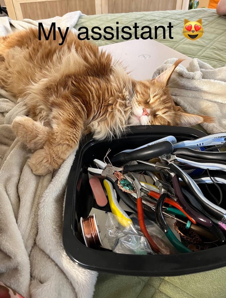 May include: A ginger cat with green eyes is sleeping on a blanket next to a black plastic container filled with various jewelry making tools, including pliers, wire cutters, and a spool of copper wire. The cat is positioned as if it is helping with the jewelry making process. The text "My assistant" is written above the cat.