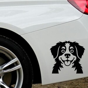 Sticker Berner Sennenhond, sticker Zwitsers ras, cadeau voor hondenliefhebbers, realistische sticker huisdierportret voor laptop, bidon en voor