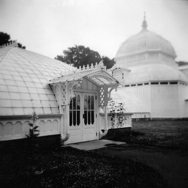 Conservatory of Flowers No. 1