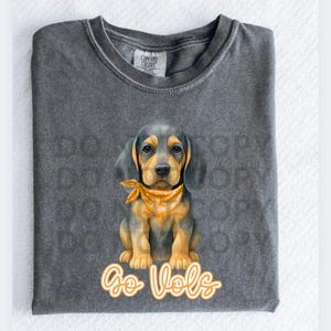 Brooke and Bear Vols Puppy mascot Youth T-Shirt, Kids Comfort Colors shirt, Tennessee fans, University of Tennessee Volunteers, baby Smokey