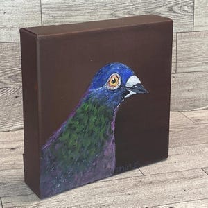 Rock Dove Pigeon square acrylic painting