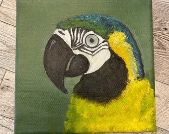 Blue Macaw square acrylic painting