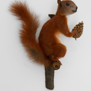 Könnte beinhalten: Rustikales Holzschild mit dem Text "Welcome to our home" in weißer Schrift. Das Schild hat eine Used-Optik und ein schlichtes, einladendes Design, perfekt für die Dekoration im Eingangsbereich.