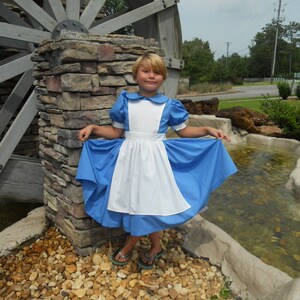 Alice in Wonderland Inspired Costume / Sizes 3 Thru 8 / Halloween ...